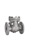 Check Valve